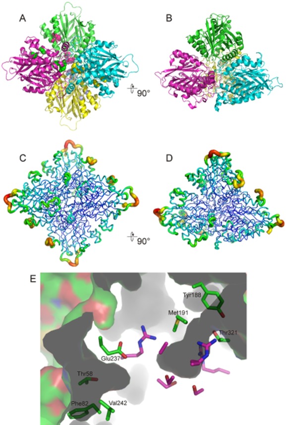 Fig. 4