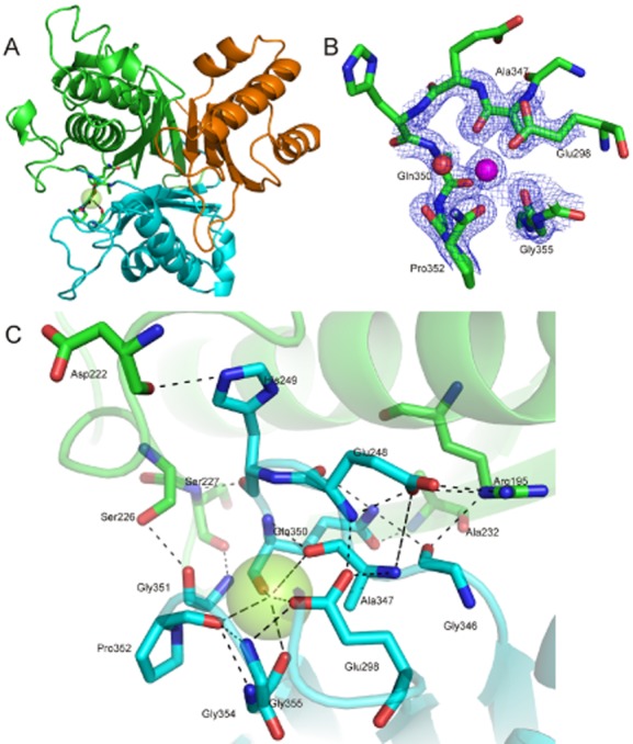 Fig. 3