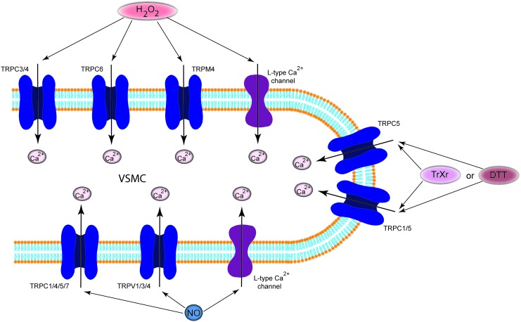 FIG. 8.