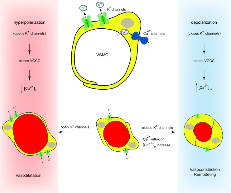 FIG. 7.