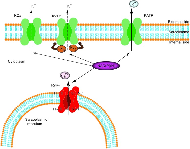 FIG. 3.