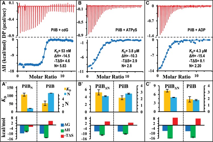 Figure 2.