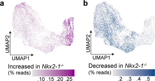 Figure 2—figure supplement 1.