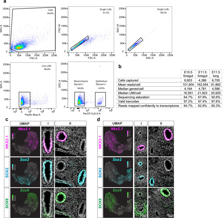 Figure 1—figure supplement 1.