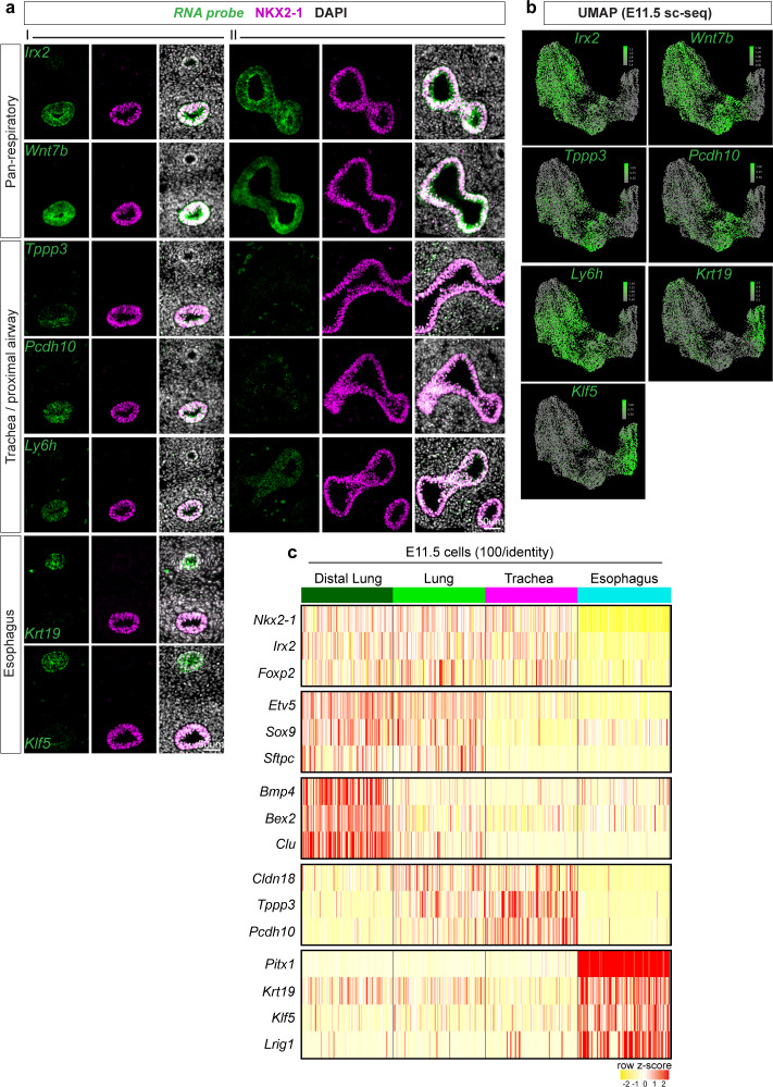 Figure 1—figure supplement 3.