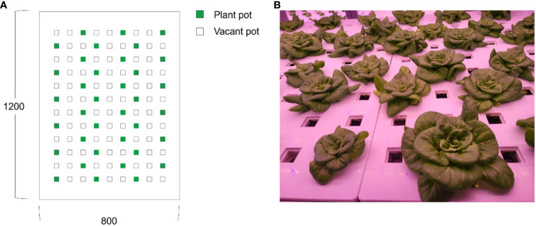 Figure 10