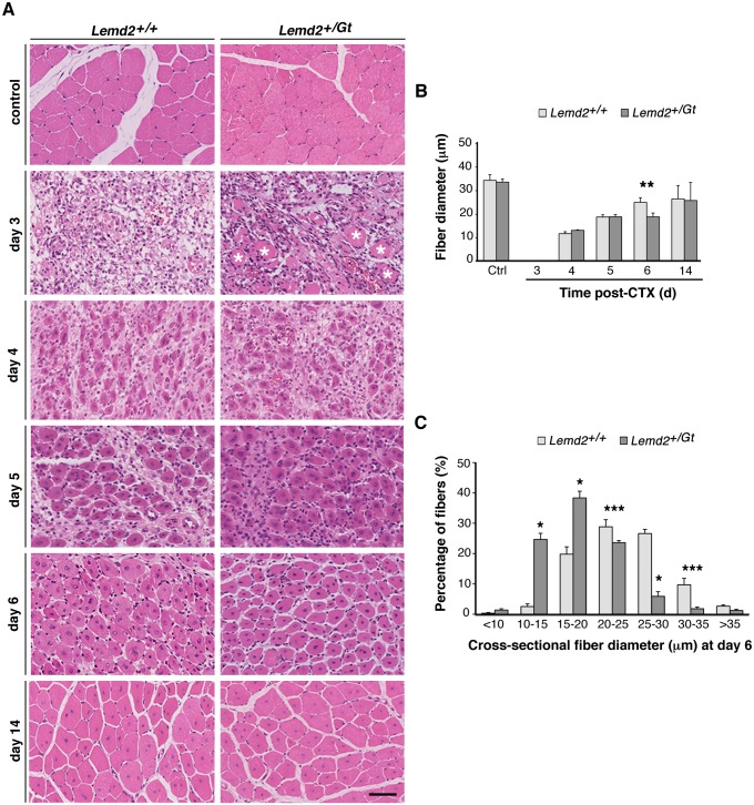 Fig 8