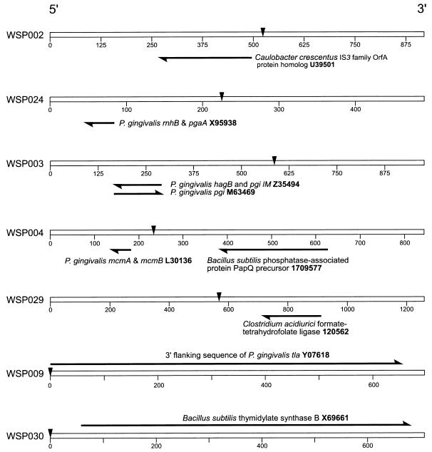 FIG. 7