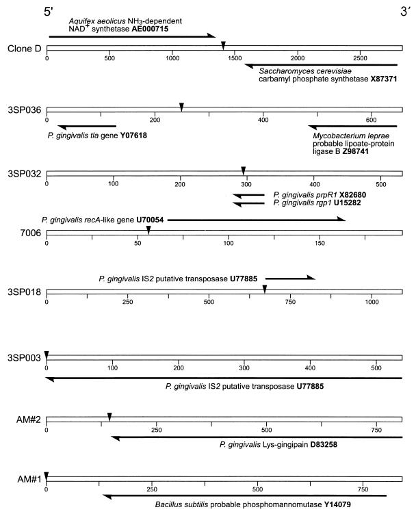 FIG. 6