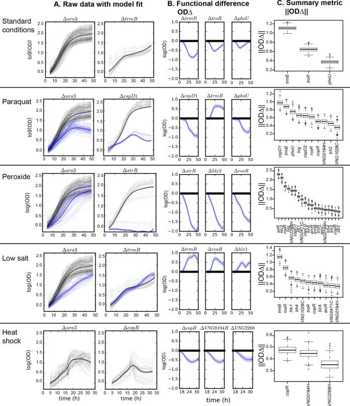 FIG 2 