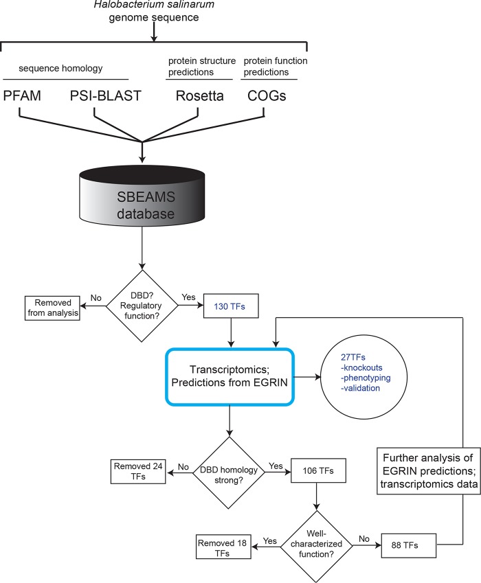 FIG 1 