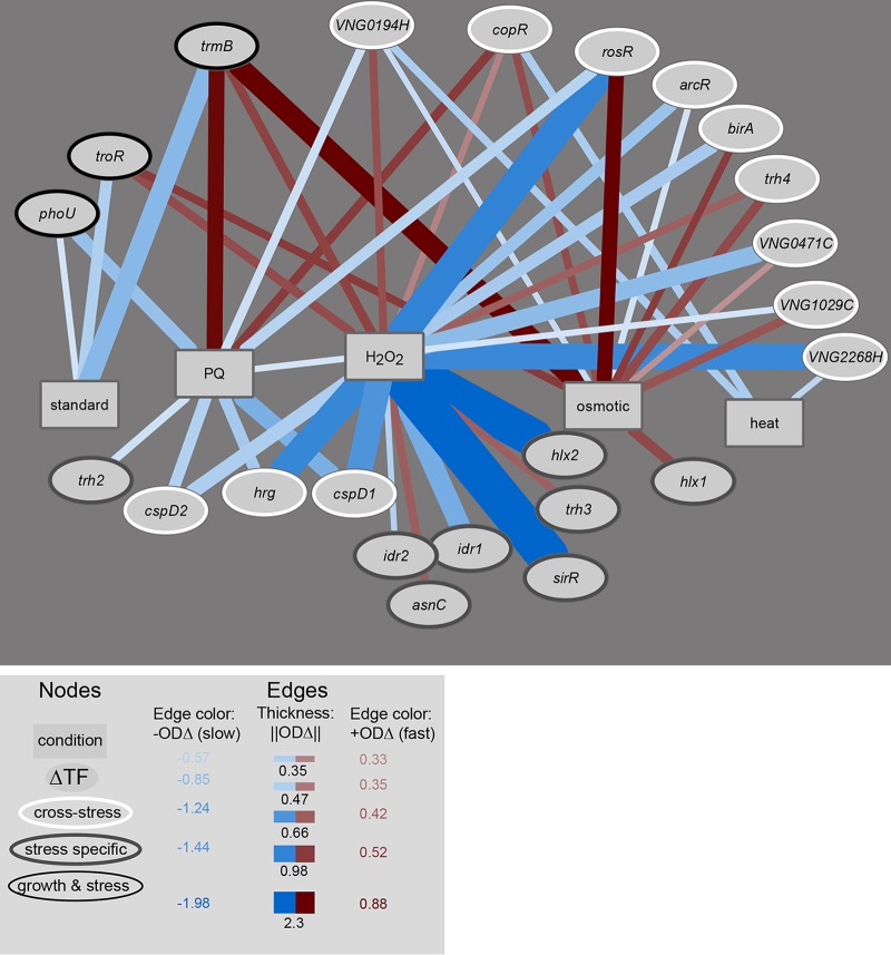 FIG 3 