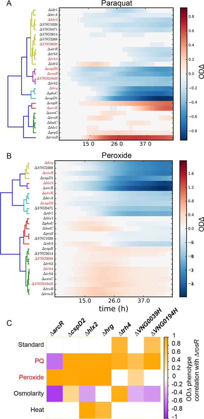 FIG 4 