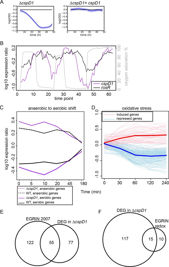 FIG 6 