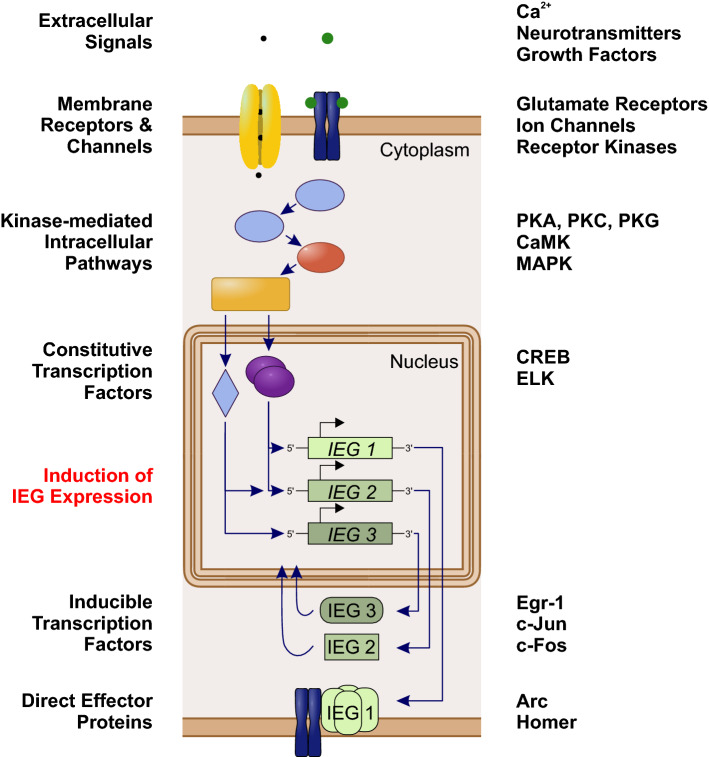 Fig. 2