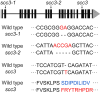 Figure 1—figure supplement 4.