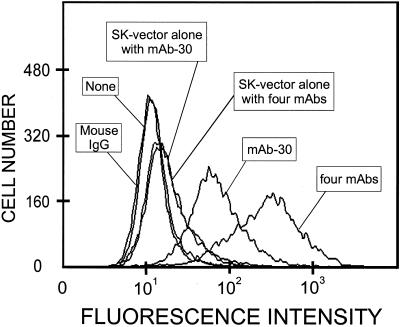 Figure 9