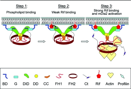 FIGURE 7: