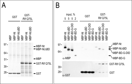 FIGURE 6: