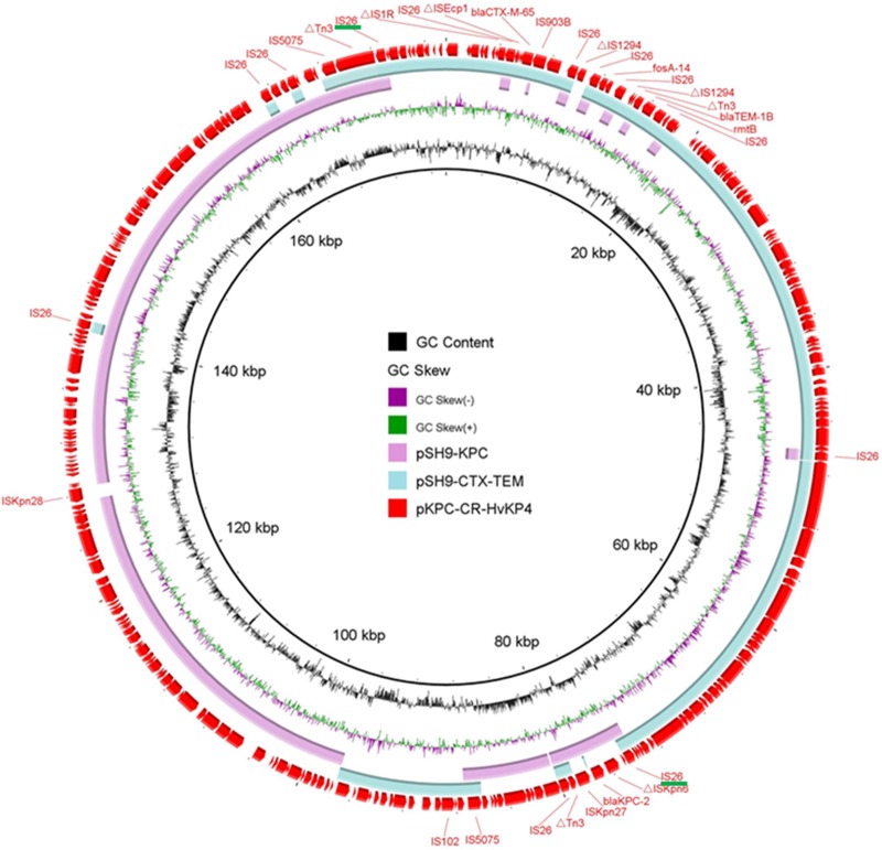 FIG 1