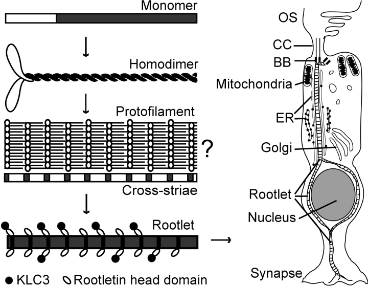 Figure 9.