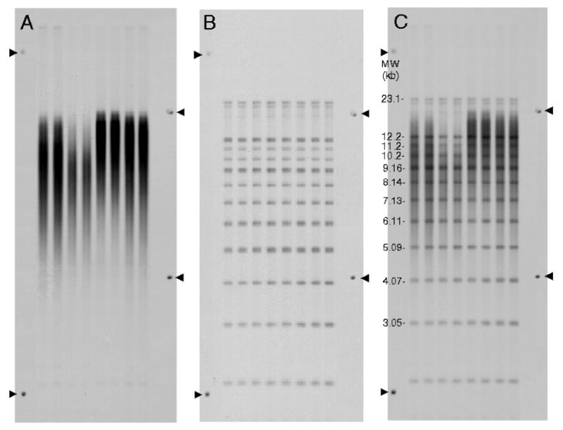 Appendix Figure