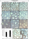 FIG. 6