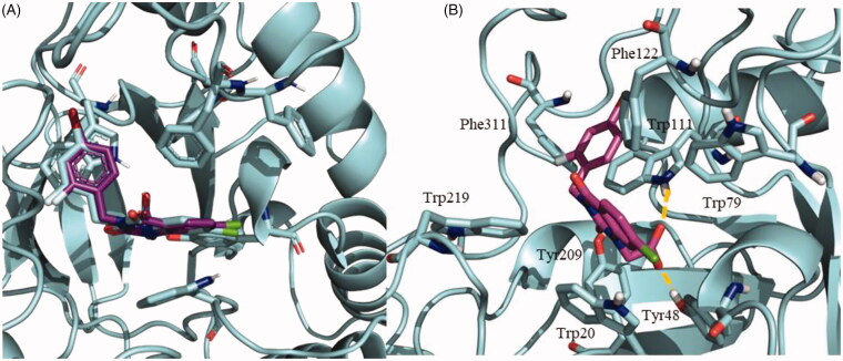 Figure 6.