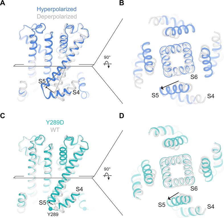 Figure 7.