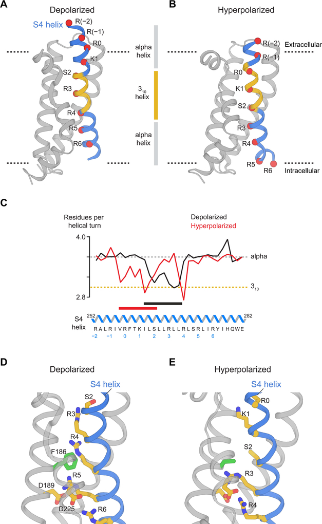 Figure 5.