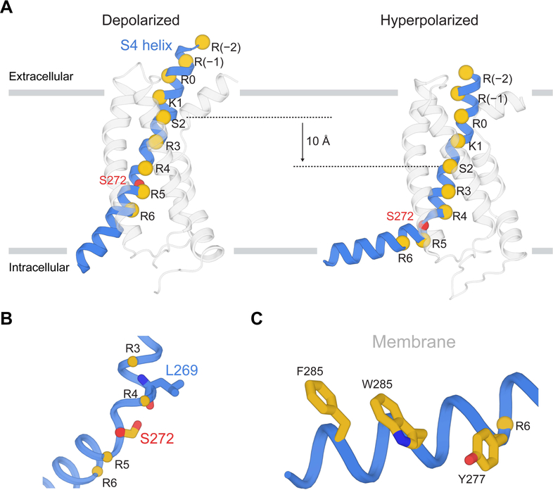 Figure 6.