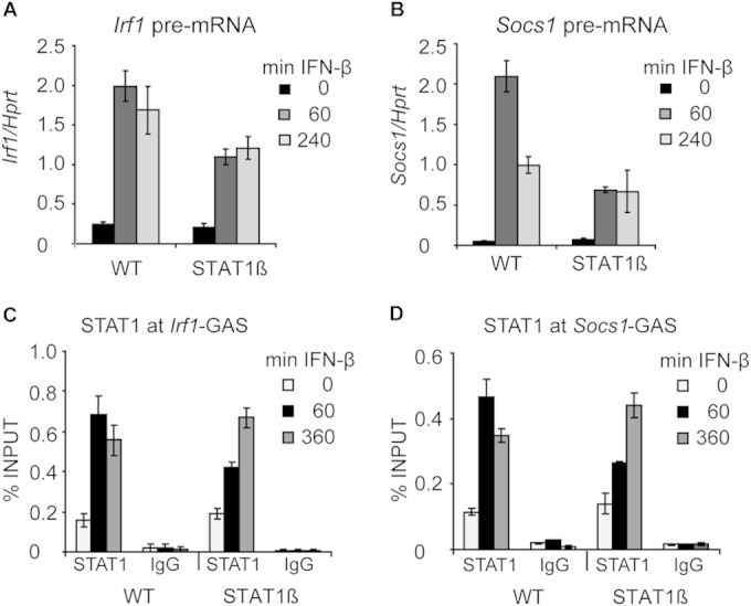 FIG 6