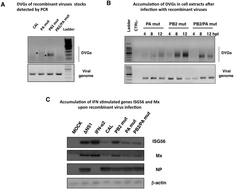 Fig 6