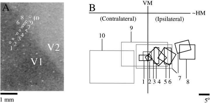 Fig. 5.