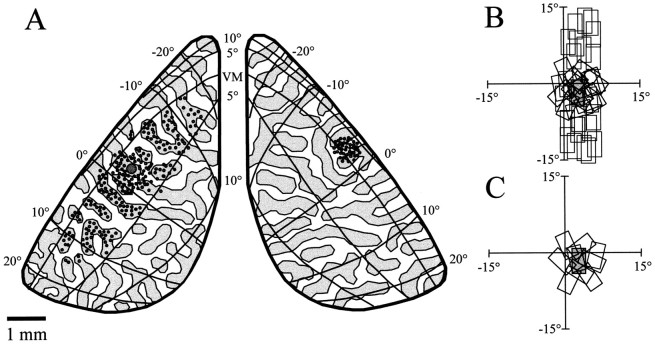 Fig. 10.