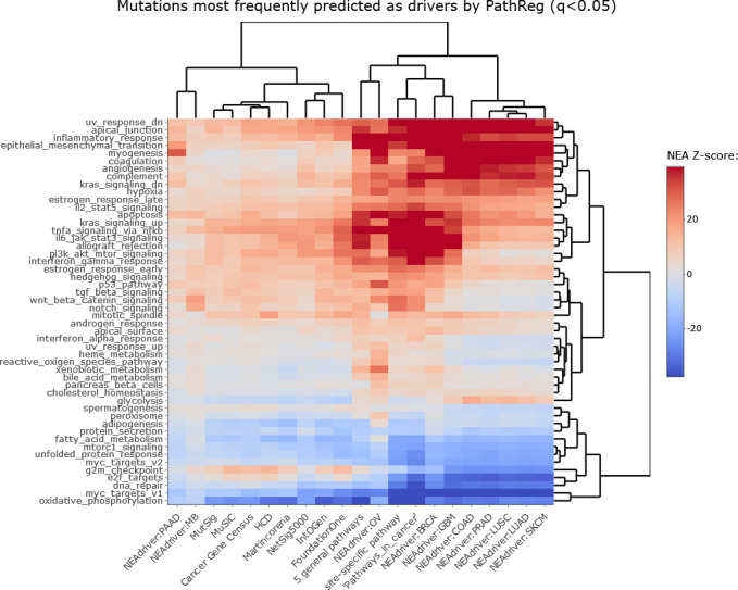 Figure 2—figure supplement 3.