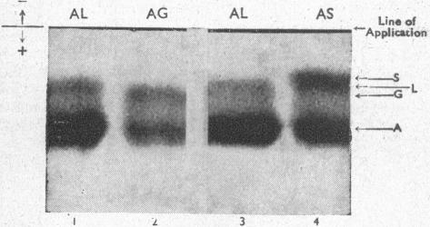 p143-a