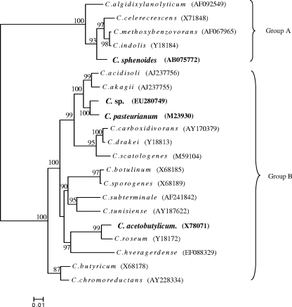 FIG. 4.