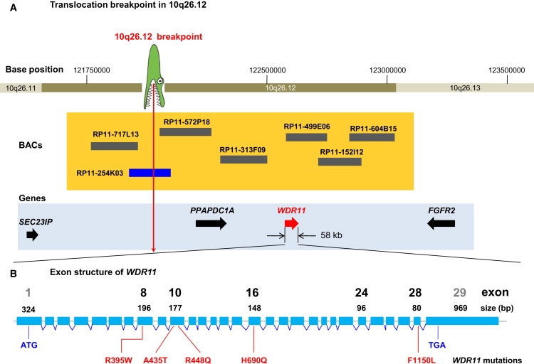 Figure 2