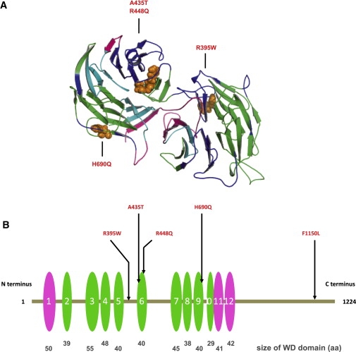 Figure 4