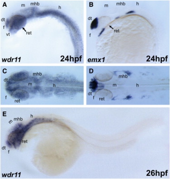 Figure 7