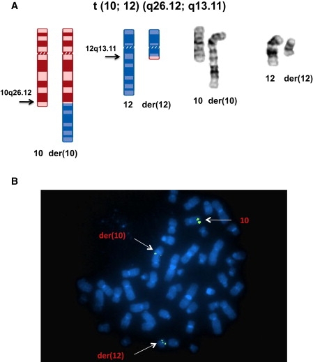 Figure 1