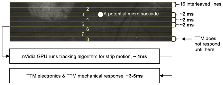 Fig. 14