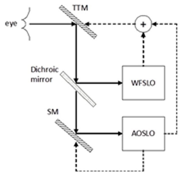 Fig. 13