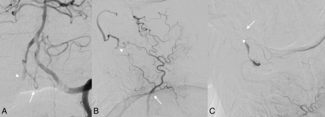 Figure 3