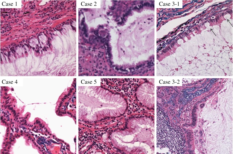 Figure 2: