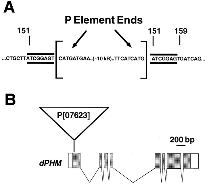 Fig. 9.
