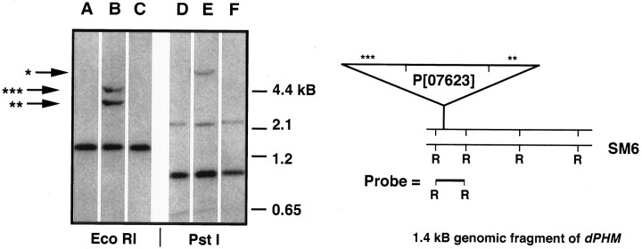 Fig. 10.