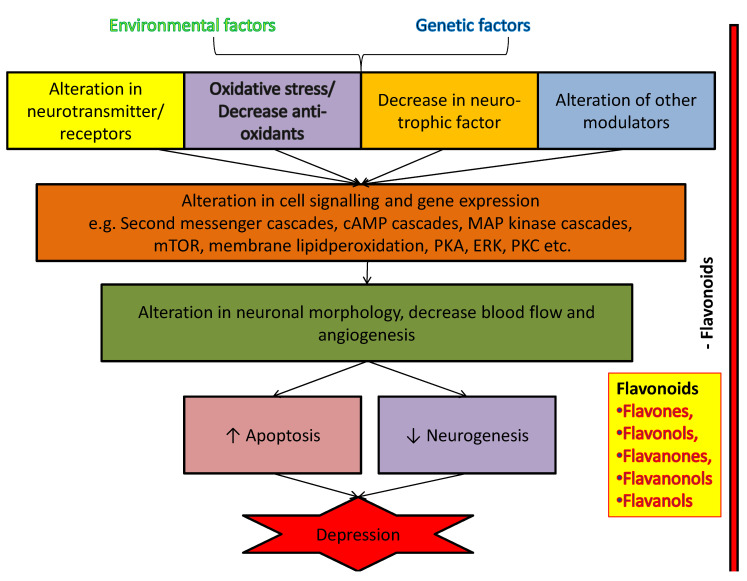 Figure 46