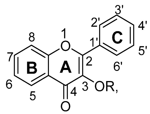 Figure 13